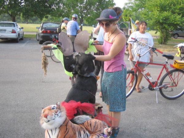 bikes